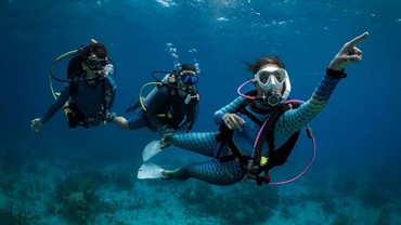 Open Water Diver